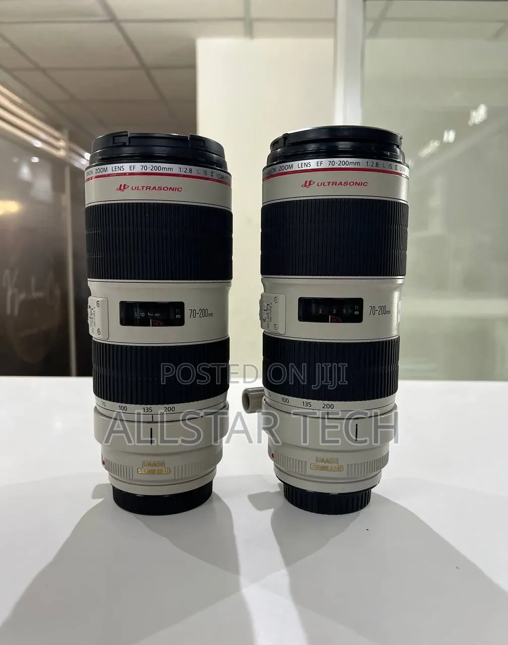 Canon 70-200mm Zebra Lens