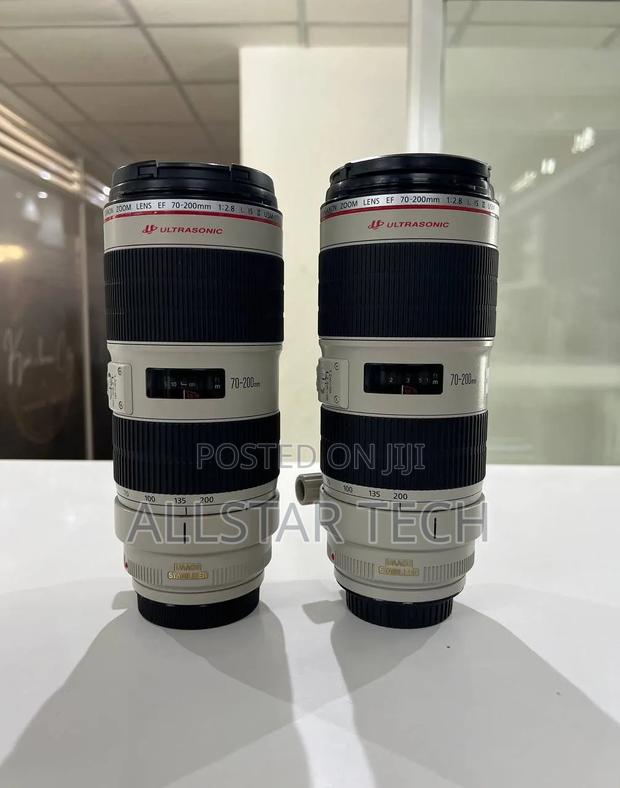 Canon 70-200mm Zebra Lens - thumbnail 2