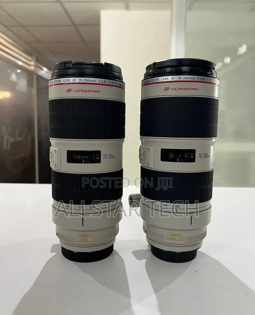 Canon 70-200mm Zebra Lens