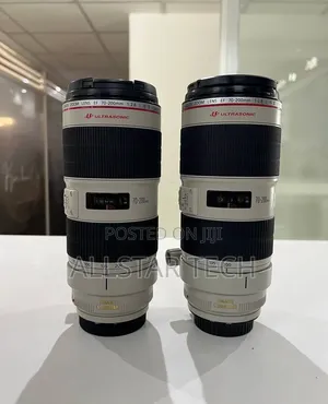 Canon 70-200mm Zebra Lens