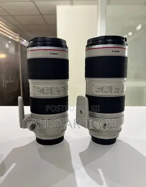 Canon 70-200mm Zebra Lens
