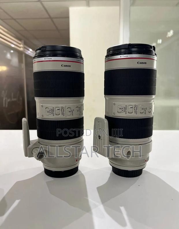 Canon 70-200mm Zebra Lens - thumbnail 4