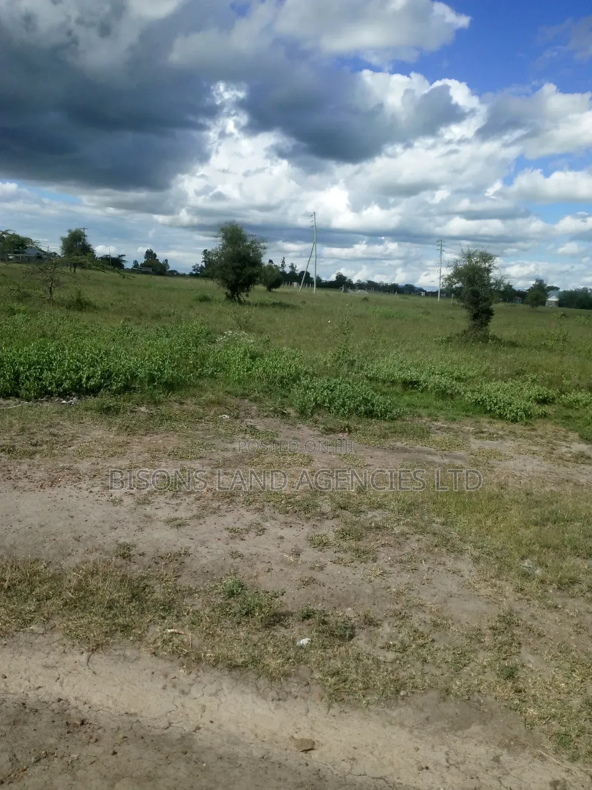 Available 100 Acres Land for Sale