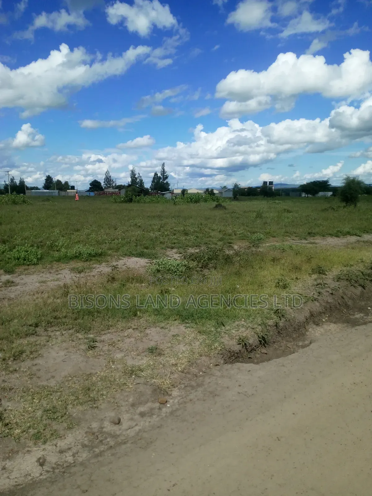 Available 100 Acres Land for Sale
