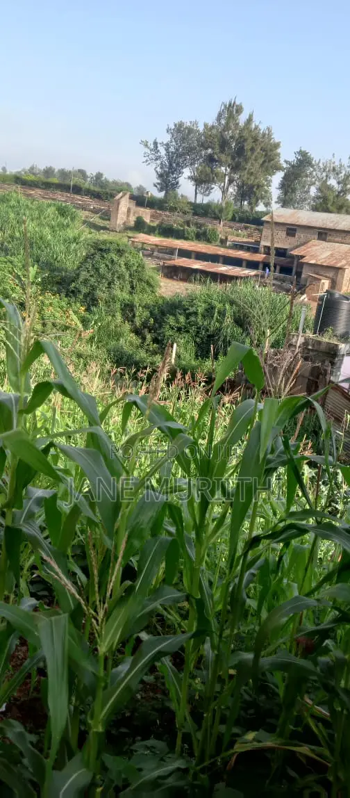 Plot on Sale, Marurui Near Thome Along Northern Bypass