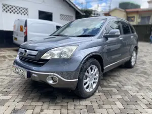 Honda CR-V 2010 Gray