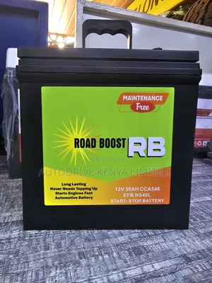 Ns40 Roadboost Efb Start-Stop Battery