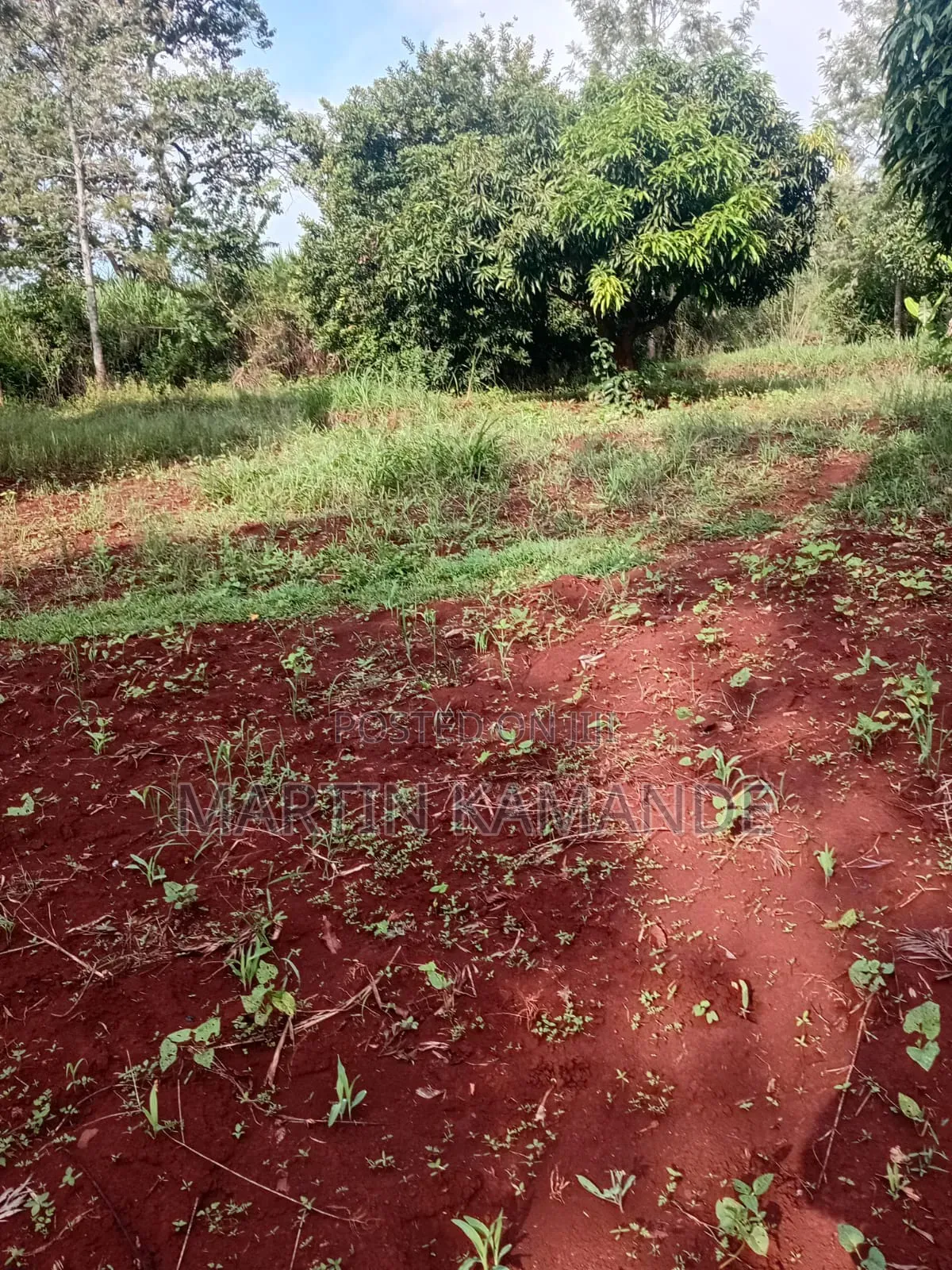 Land for Sale