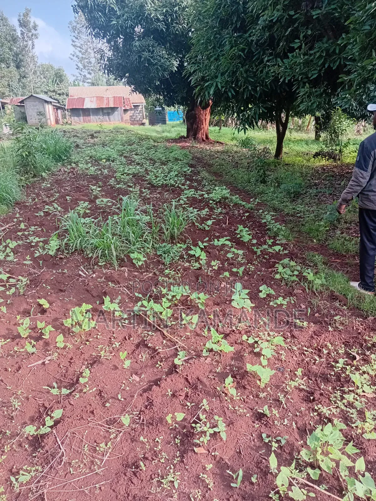 Land for Sale