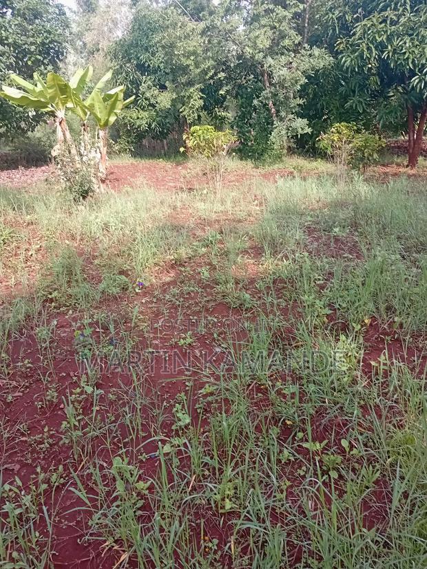 Land for Sale - thumbnail 6