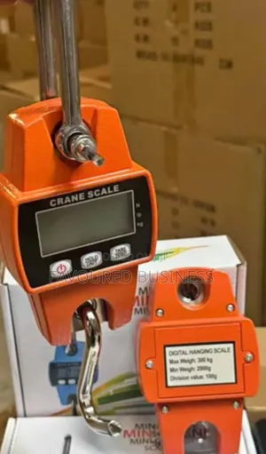 Commercial 300kg Most Accurate Mini Crane Scale /Digital Crane Scale