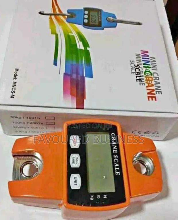 Industrial 300kg Crane Scale /Mini Crane Weighing Machine