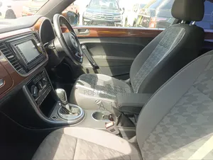 Volkswagen Beetle 2019 Brown