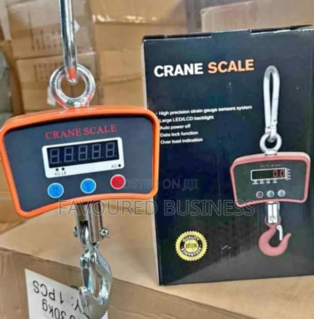 Durable Mini Crane Scale 500kg /Hanging Weighing Scale 500kg.