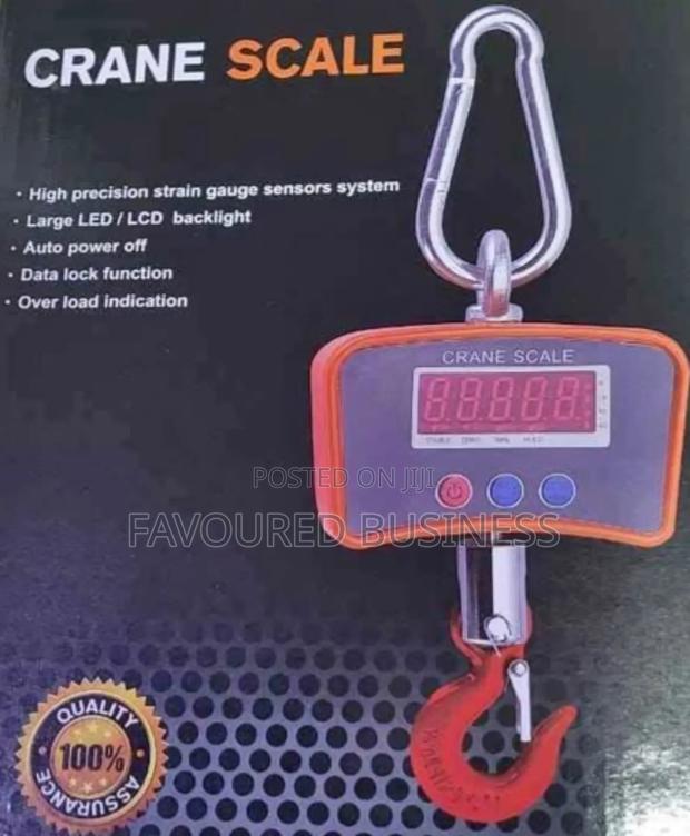 Top Orginal 500kg Mini Crane Scale /Commercial Model Ocs -L Scale