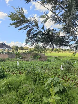 Land 100*100 Thika Golf Estate Quarter Acre