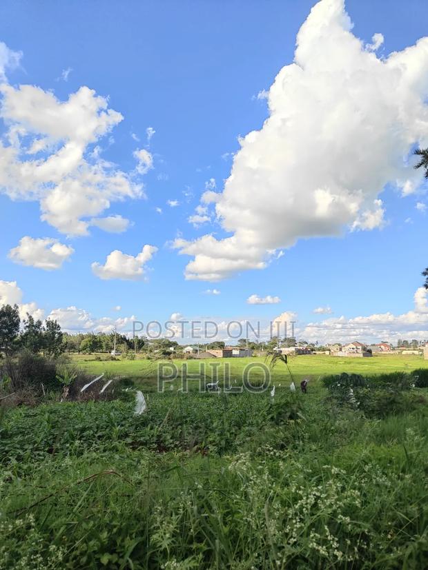Land 100*100 Thika Golf Estate Quarter Acre - thumbnail 2