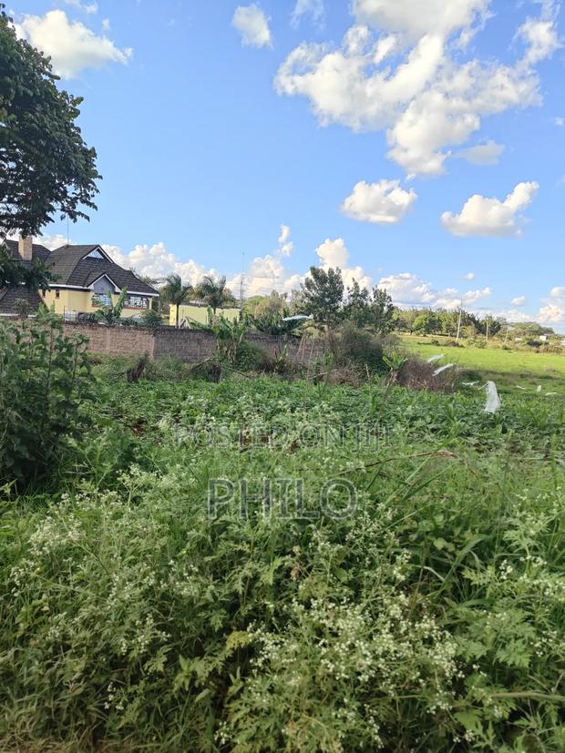 Land 100*100 Thika Golf Estate Quarter Acre - thumbnail 3