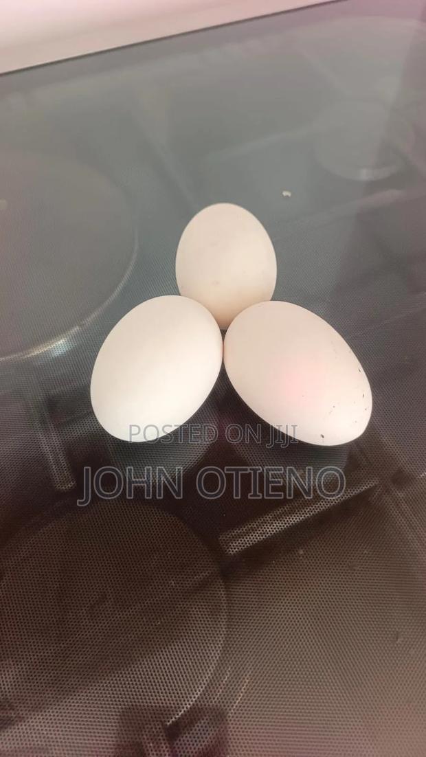Chineese Goose Eggs - thumbnail 2