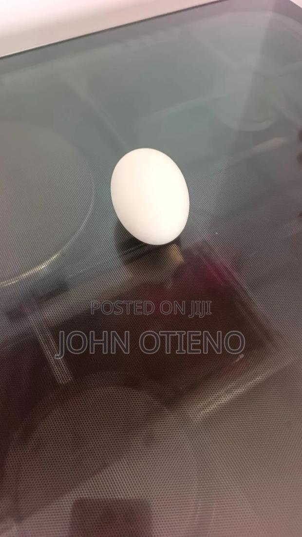 Chineese Goose Eggs - thumbnail 3