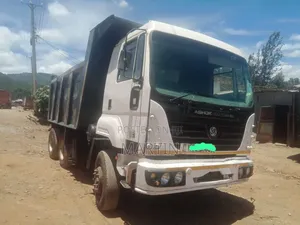 Ashok Tipper 2015 White
