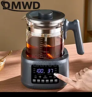 Multifunctional Electric Tea Kettle And Hot Water Pot,