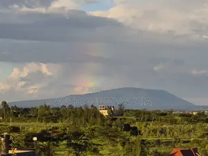 Plot in Katani