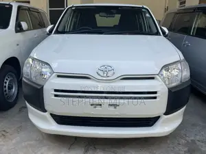 Toyota Probox 1.5 DX 2WD 2019 White
