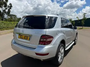 Mercedes-Benz M Class 2010 Silver
