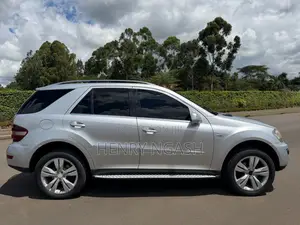 Mercedes-Benz M Class 2010 Silver