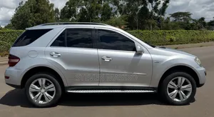 Mercedes-Benz M Class 2010 Silver