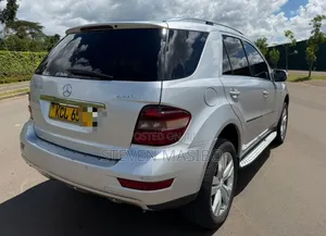 Mercedes-Benz M Class 2010 Silver