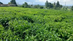 2.25 Acre Farm Near Gitiha Shopping Center (Githunguri)