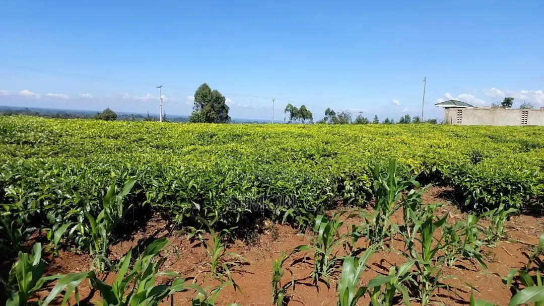 2.25 Acre Farm Near Gitiha Shopping Center (Githunguri)