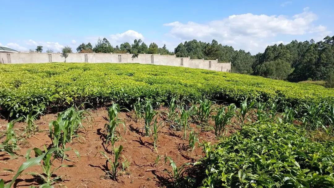 2.25 Acre Farm Near Gitiha Shopping Center (Githunguri)