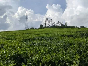3 Acres on Sale at Kangari-Gituru