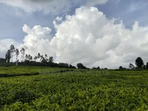 3 Acres on Sale at Kangari-Gituru