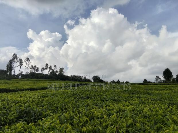 3 Acres on Sale at Kangari-Gituru - thumbnail 5