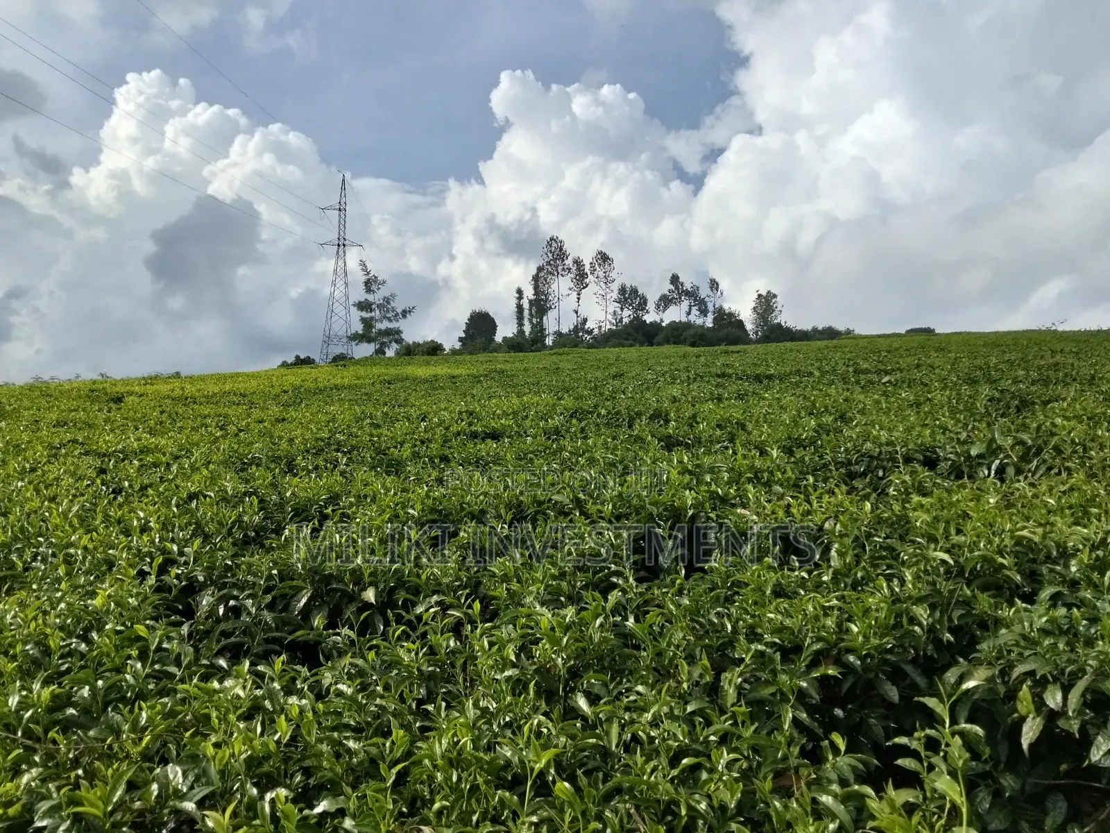 3 Acres on Sale at Kangari-Gituru