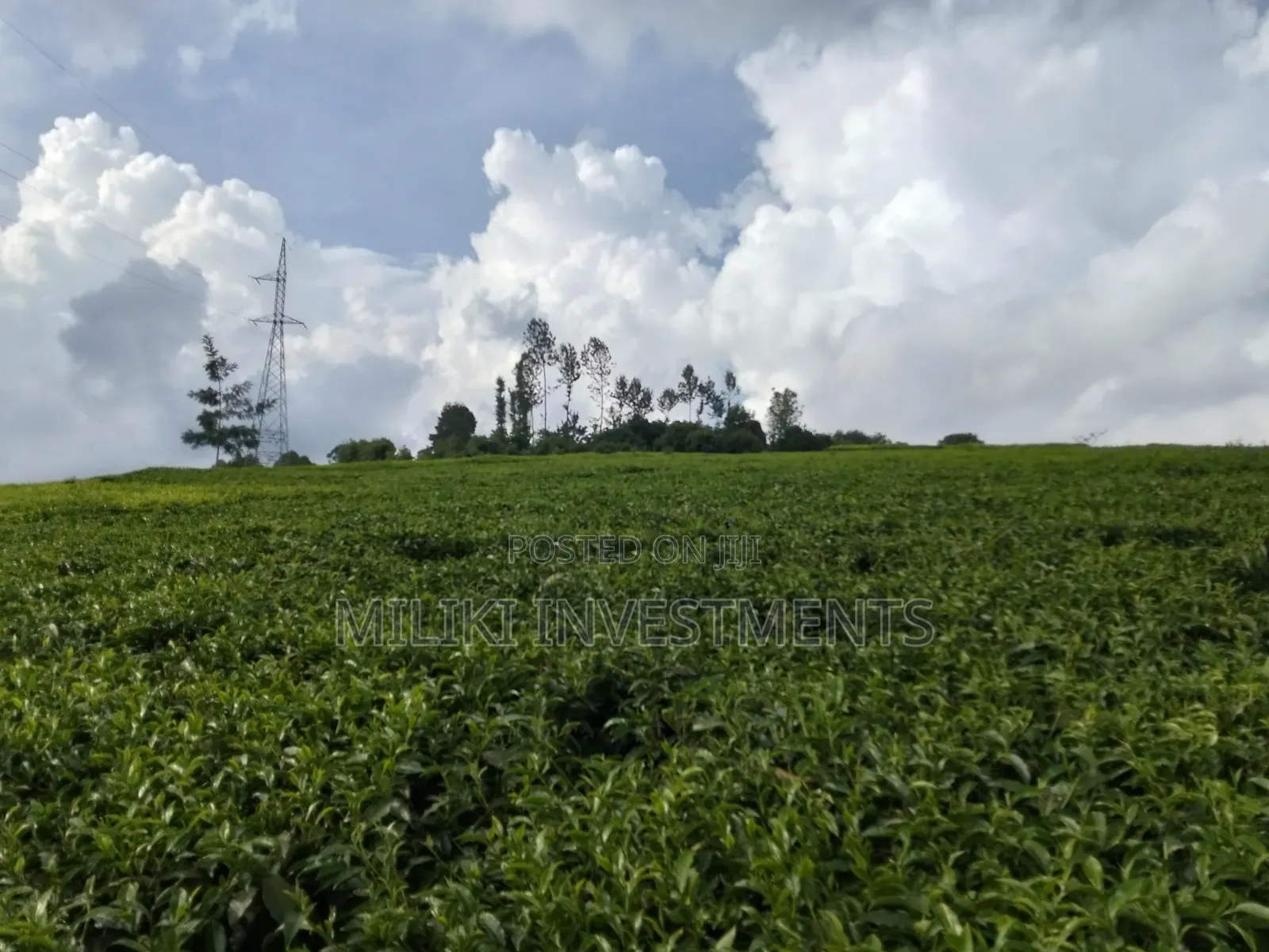 3 Acres on Sale at Kangari-Gituru