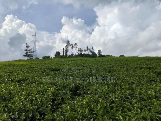 3 Acres on Sale at Kangari-Gituru - thumbnail 7