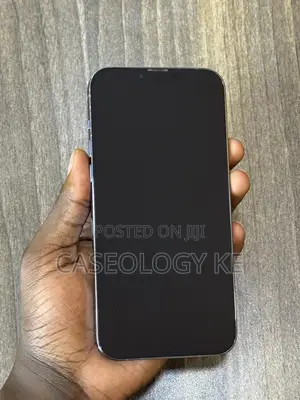 Apple iPhone 13 Pro Max 256 GB Blue