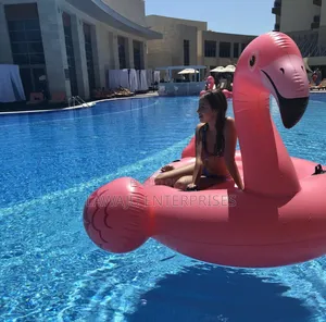 Giant Flamingo Float
