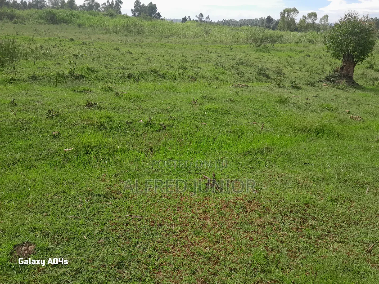 Lands and Property for Sale