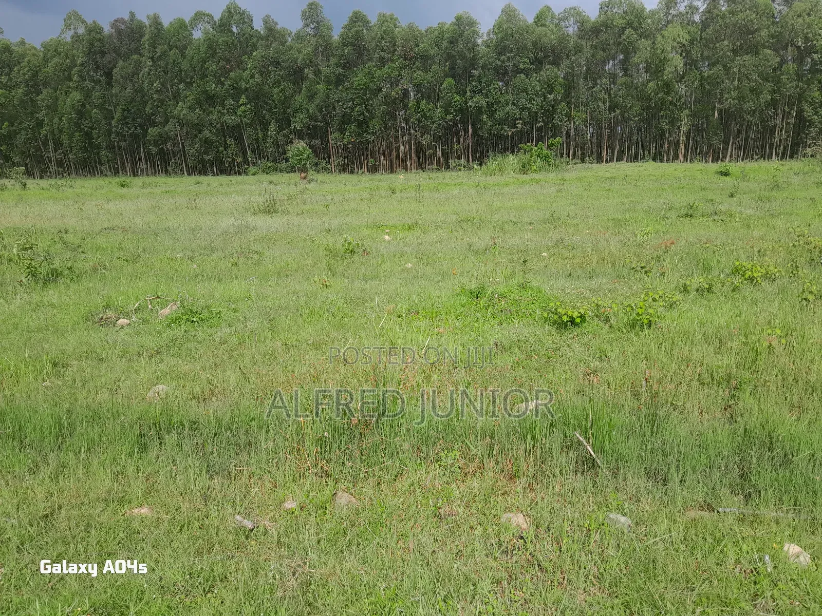 Lands and Property for Sale