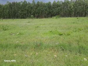 Lands and Property for Sale