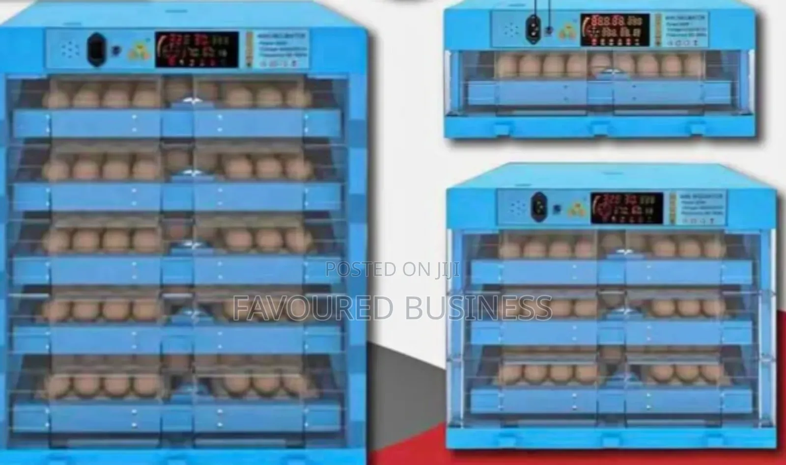 Automatic 64eggs Incubator/New Ac Dc Incubator Machine 64 Eggs