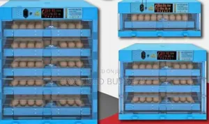 Automatic 64eggs Incubator/New Ac Dc Incubator Machine 64 Eggs