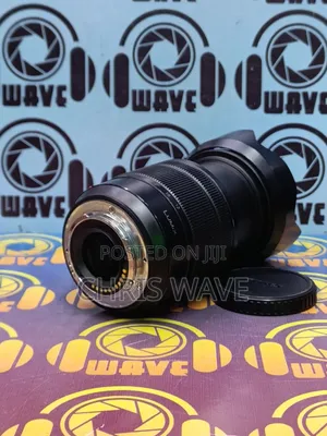 Panasonic Lumix 12-60mm Micro 4 Third Lens