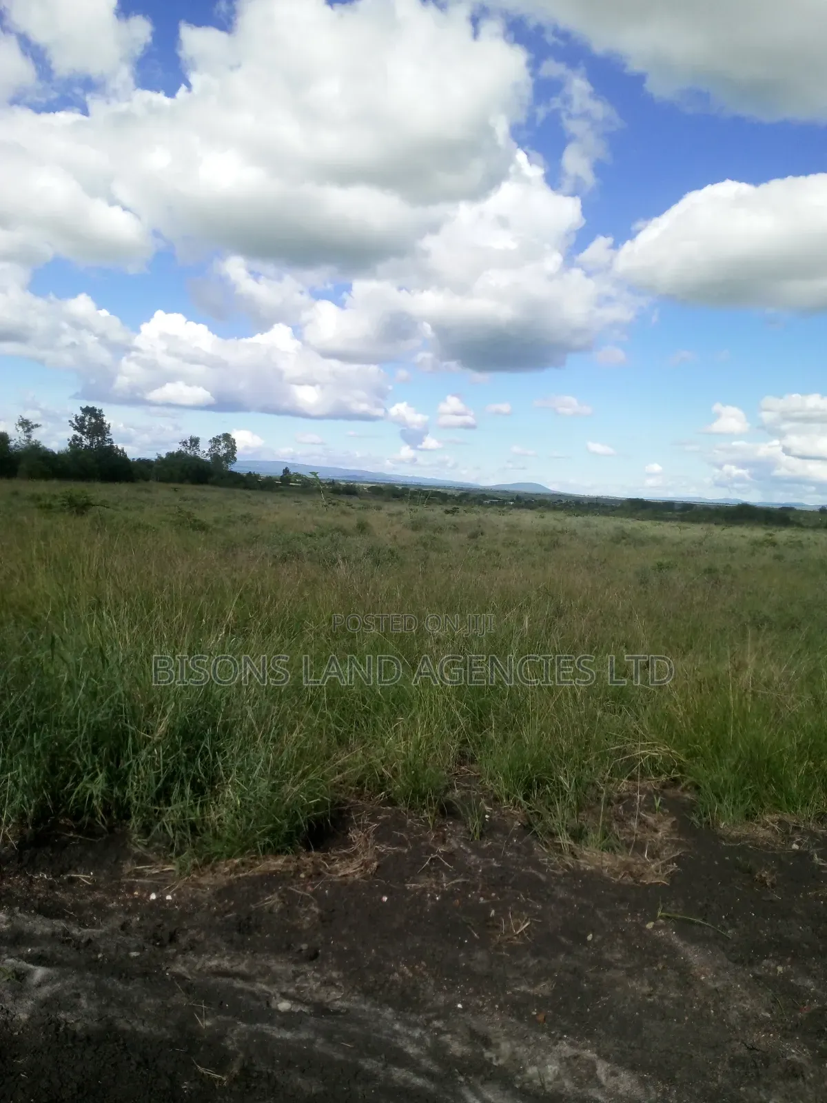 Available 1/4 Acre Plot for Sale